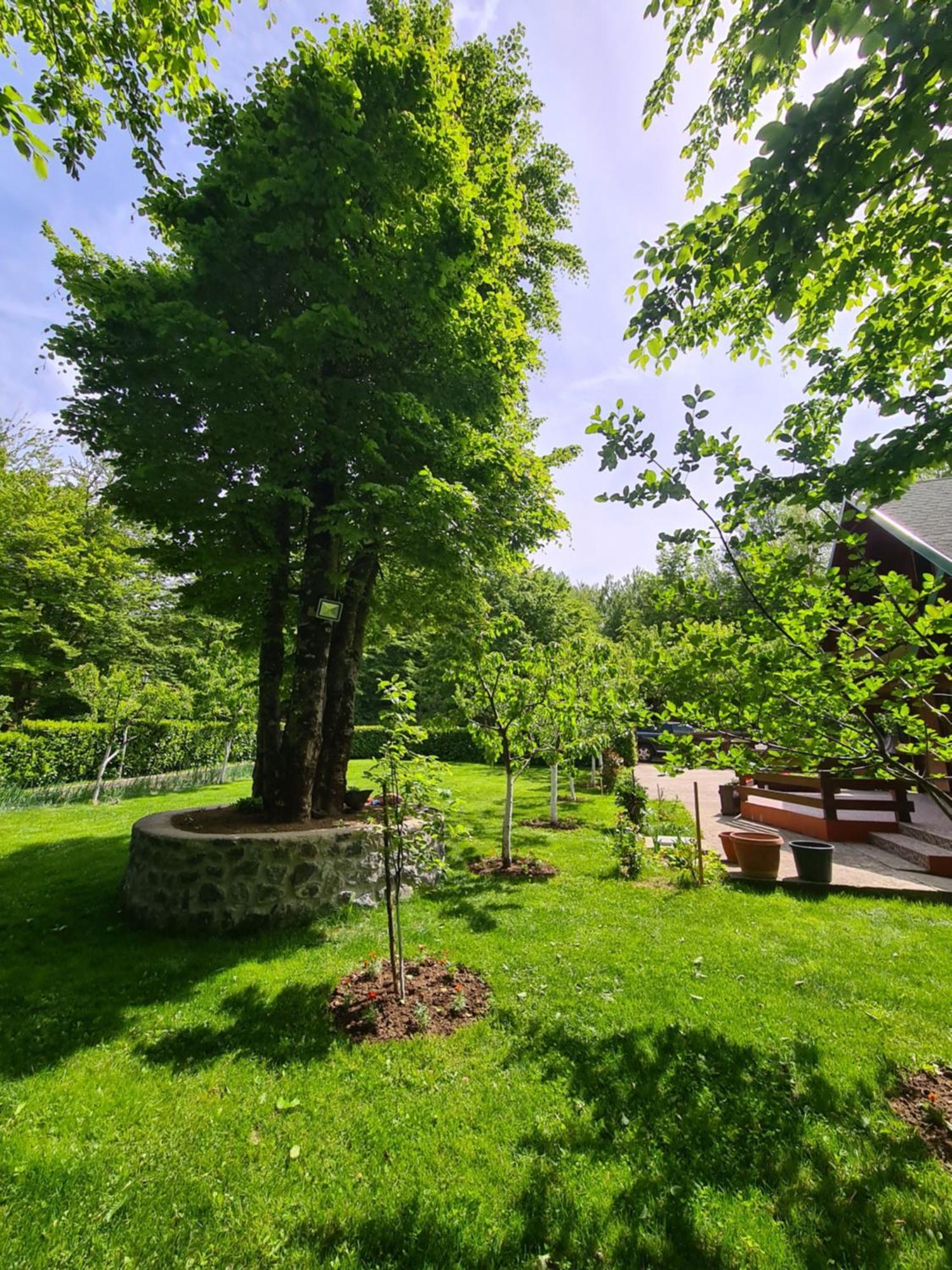 Vikendica Crkvina Villa Kolašin Exterior foto